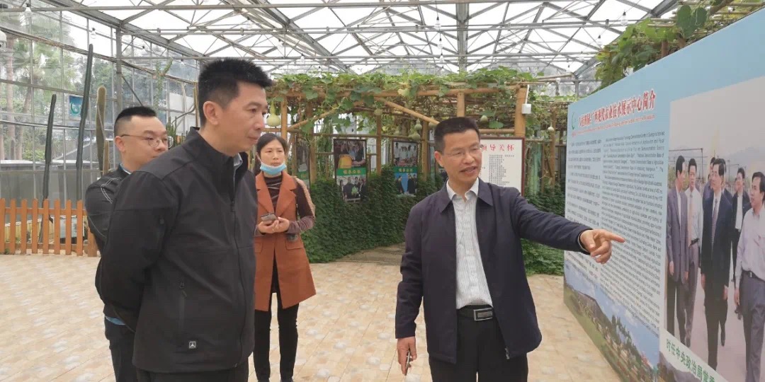 广西新华国际旅行社到八桂田园研学基地调研