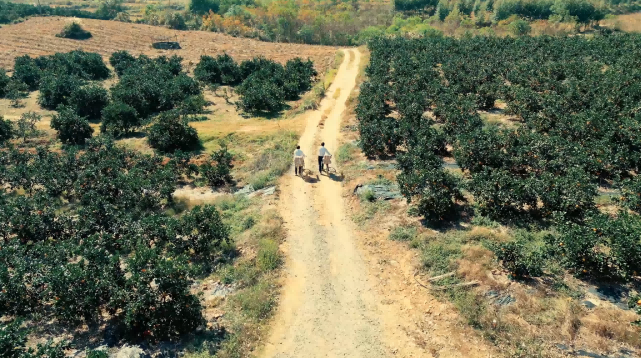 广西新华书店集团“我爱我店”微视频大赛优秀作品展播⑧